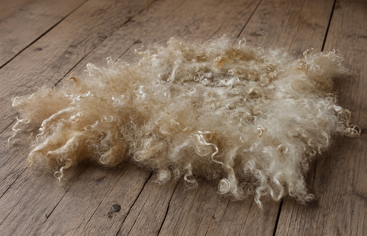 BEIGE NATUREL avec couverture en laine bouclée blanc perle | Accessoire de photographie en boucles de laine de mouton naturelle feutrées à la main