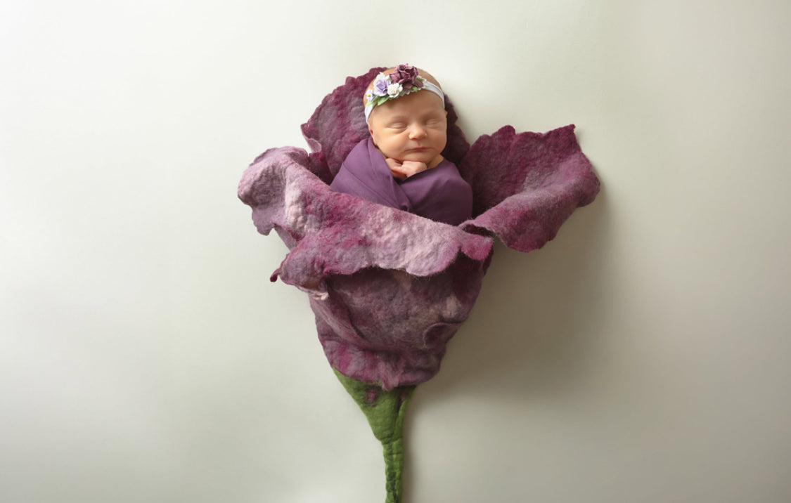 Felted Posing Flower for Newborn Photography