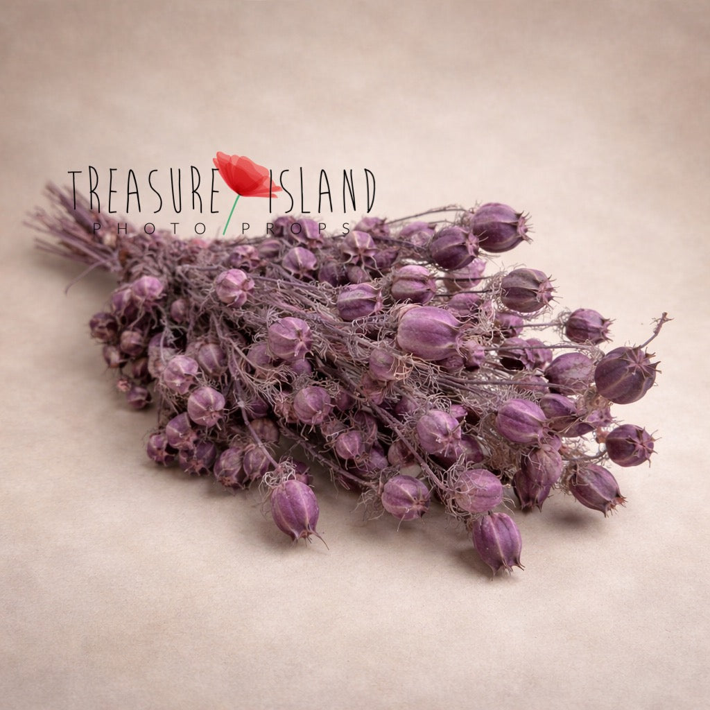 dried mauve bouquet fine art photography prop dried flowers purple tones newborn maternity styling botanical prop