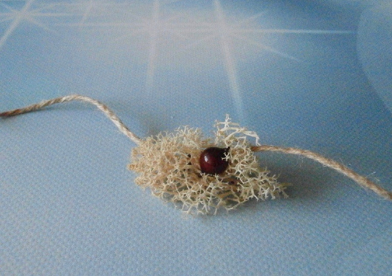 Woodland Moss & Berry Tieback - Newborn Photography Prop