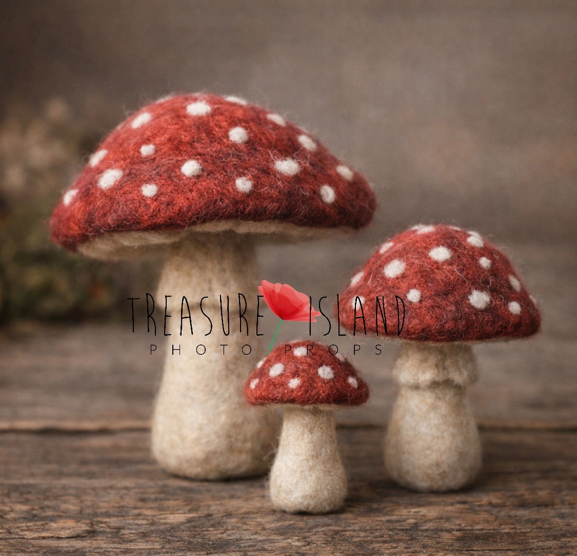 hand felted amanita toadstool mushrooms newborn photography woodland prop set