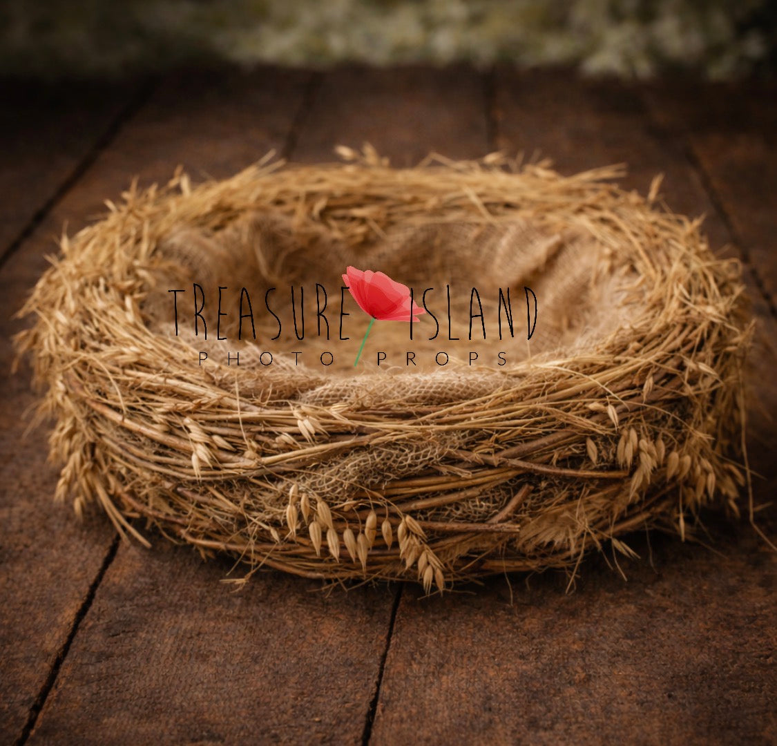 Natural Grass Bowl with dried grasses for newborn and sitter photography