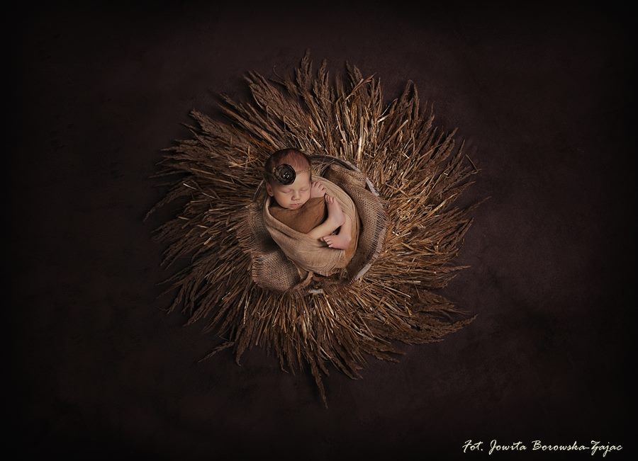 RAW Nest – Natural Handmade Newborn & Sitter Photography Prop