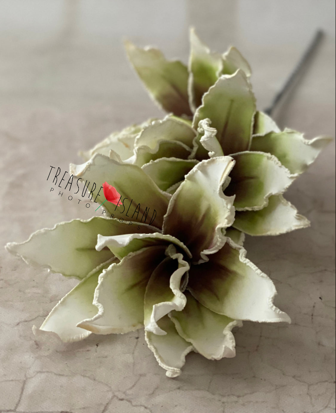 Giant Fine Art Flower – Antique Sage Green | 110 cm Statement Floral Prop