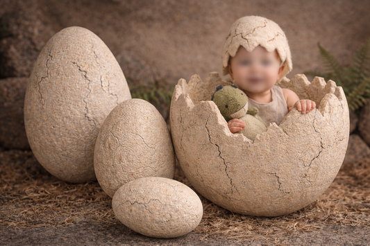 Baby in Luxury handmade styrofoam cracks shell  and eggs, needle felted dinosaur hat - photography props from exclusive DINO collection.