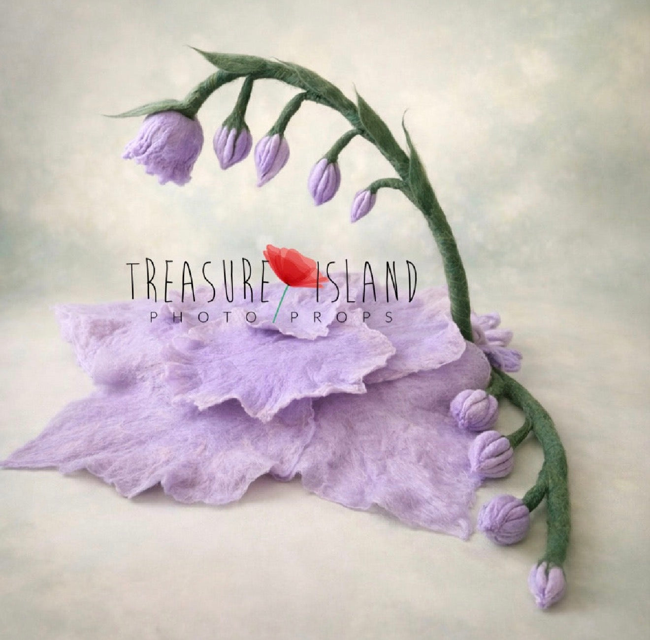 LAVENDER COLLECTION