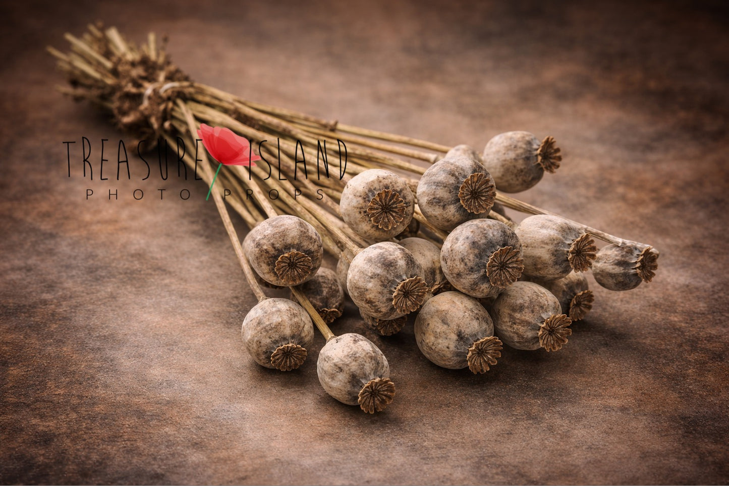 Dried Poppy Pods Bouquet – Fine Art Photography Prop