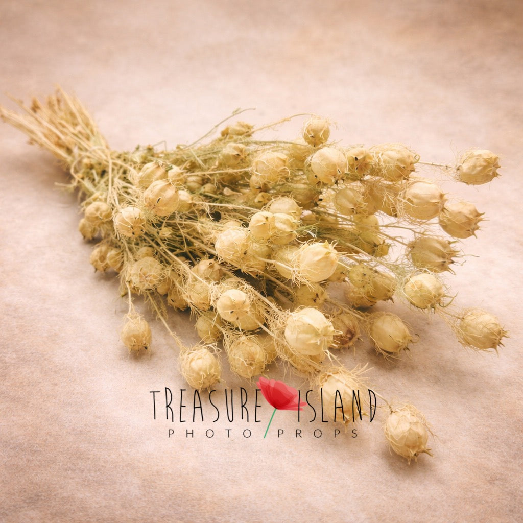 ivory dried bouquet fine art photography prop neutral dried flowers newborn maternity styling soft botanical prop
