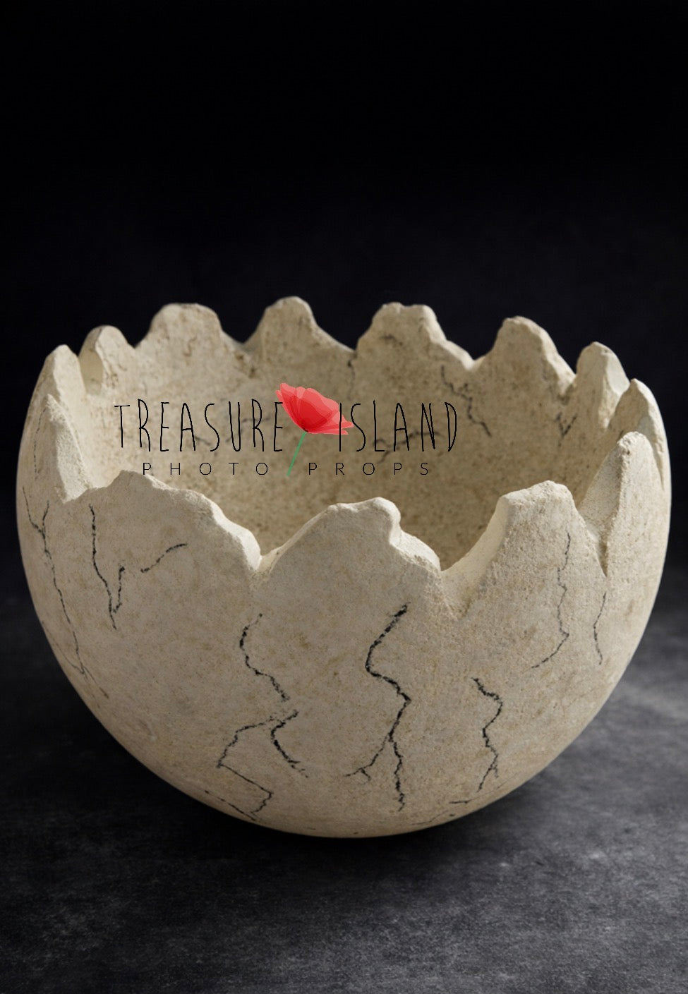 Handmade Dinosaur Eggshell with irregular broken edge for sitter photography