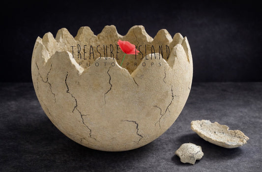 Luxury DINO Collection – Styrofoam Dinosaur Egg Shell 🥚