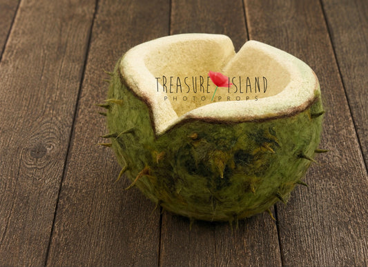 Luxury Chestnut Shell Bowl - Artistic Wool &amp; Styrofoam Newborn Photography Prop