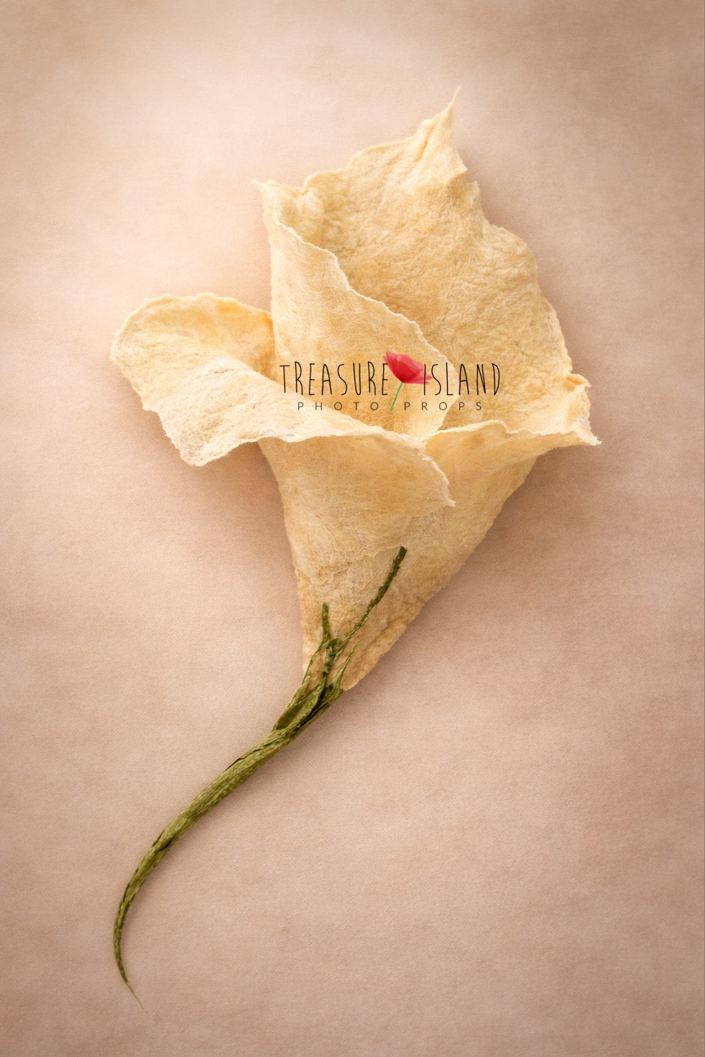 Hand felted newborn photography flower prop in soft butter cream shade with full green stem – unique artisan baby photo accessory
