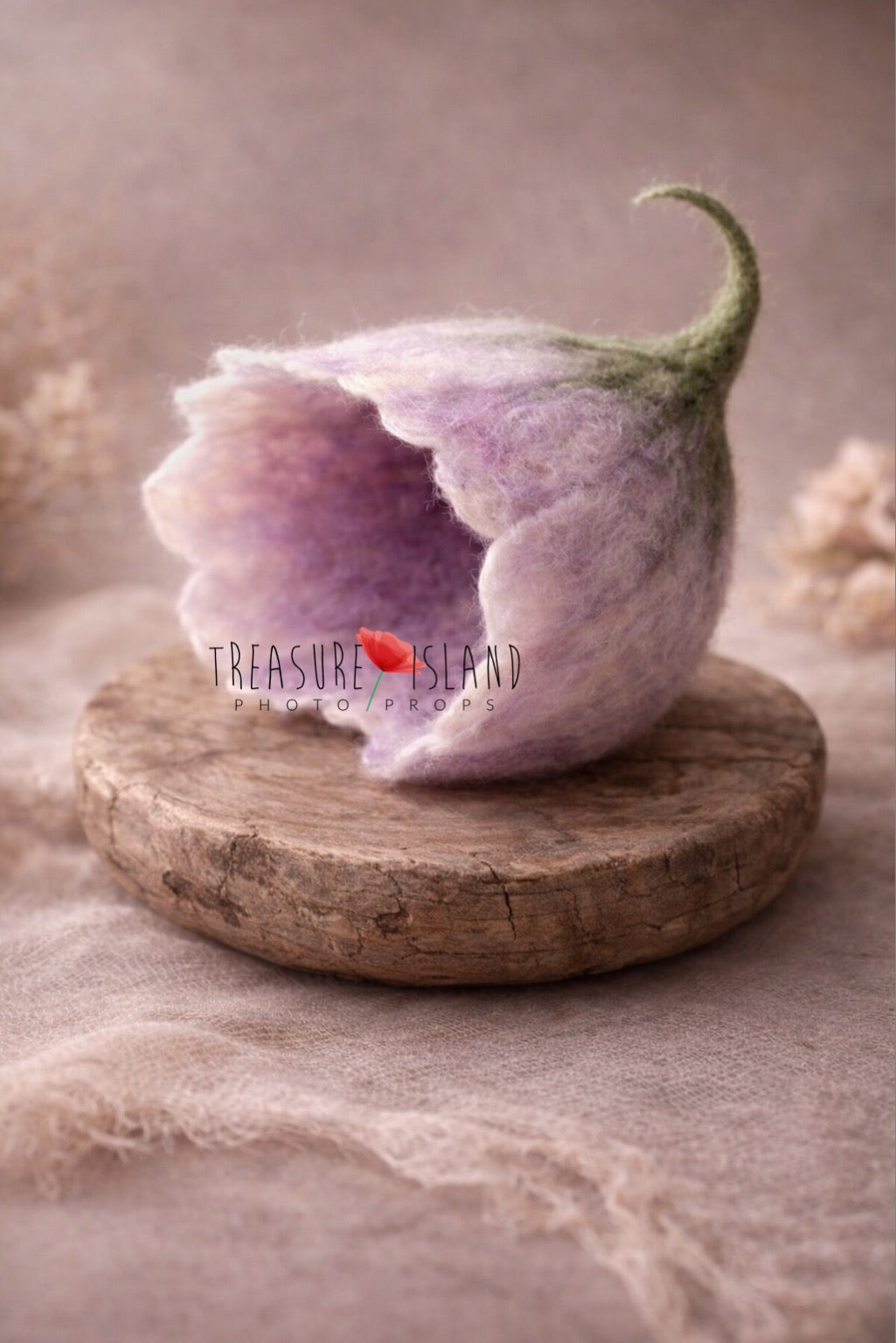Felted Posing Flower for Newborn Photography