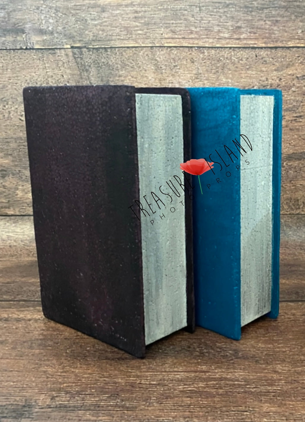 GIANT BOOKS - School props