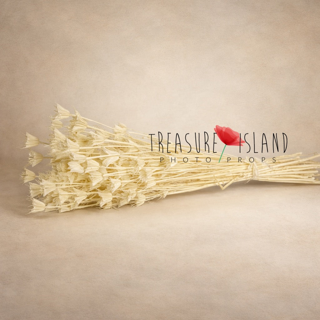 dried ivory bouquet stems view fine art prop natural dried flowers bundle photography styling neutral tones