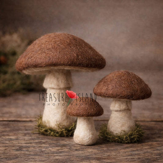hand felted bolet mushrooms woodland newborn photography props natural forest mushroom set