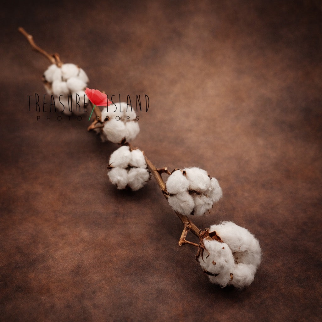 single cotton stem fine art photography prop, minimalist botanical styling element, natural cotton branch with soft texture