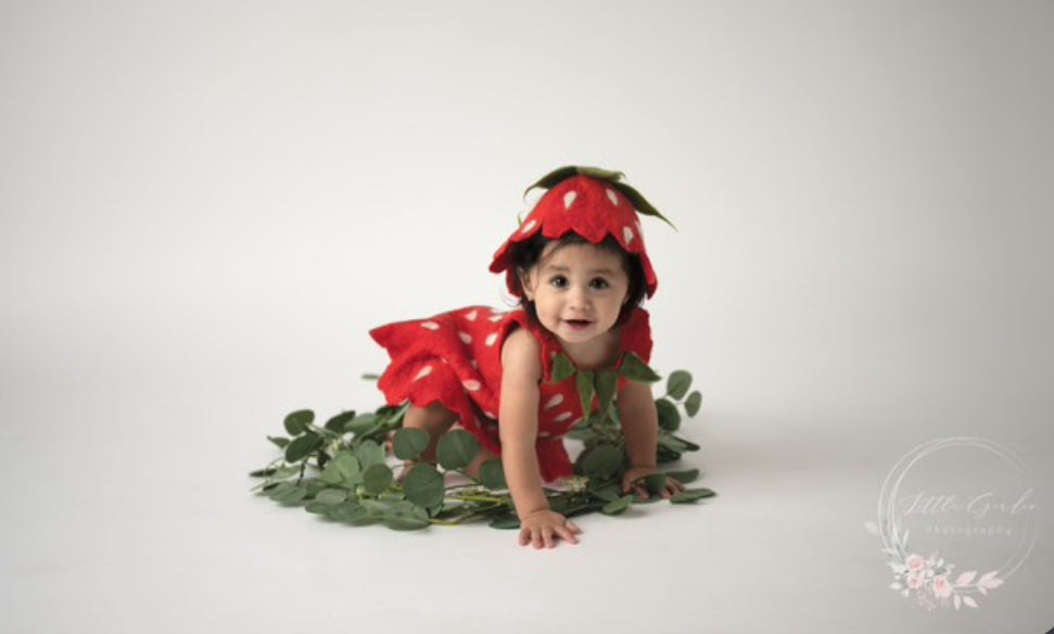 STRAWBERRY SET - dress, pants, shoes, hat  + 20 little strawberries