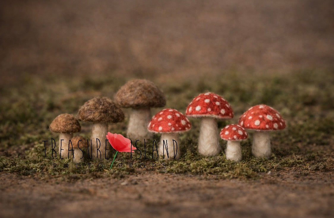 mini felt mushrooms newborn woodland photography props red toadstools and brown forest mushrooms