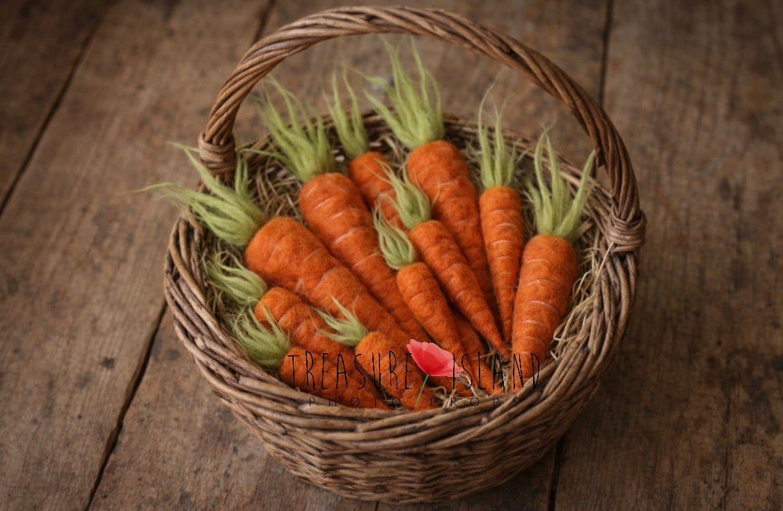 Handmade Felted Carrots – Easter Photography Props | Newborn & Sitter | Premium Wool