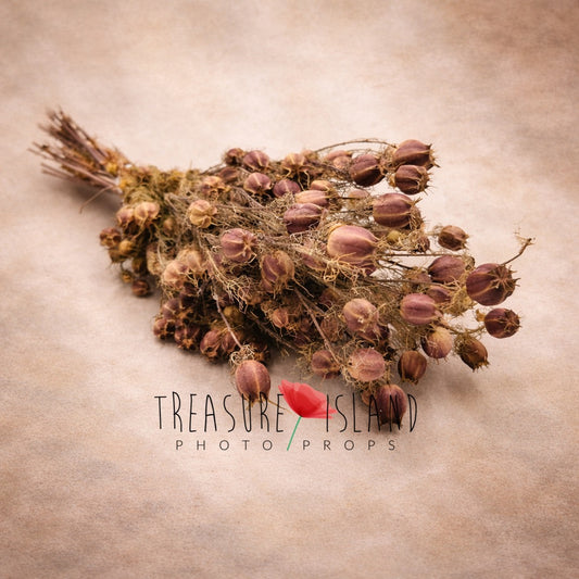 dried grass bouquet fine art photography prop natural dried botanical arrangement newborn maternity styling rustic photo prop