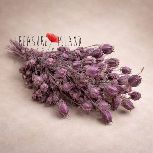 dried mauve bouquet fine art photography prop dried flowers purple tones newborn maternity styling botanical prop