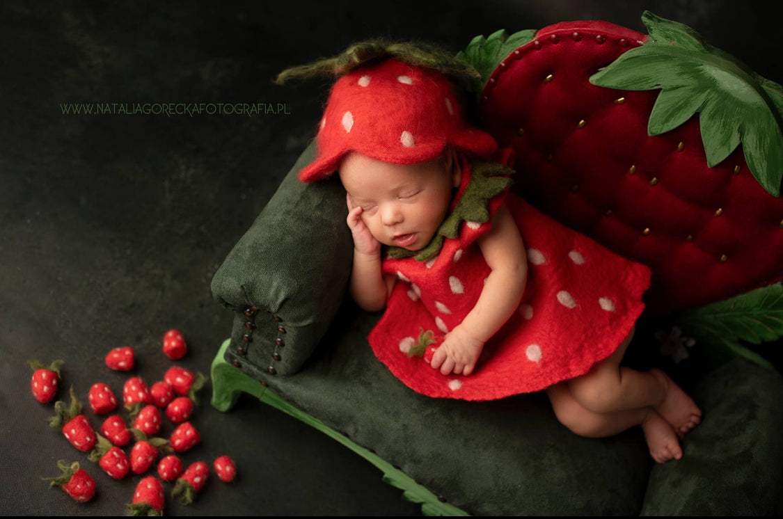 STRAWBERRY SET - dress, pants, shoes, hat  + 20 little strawberries