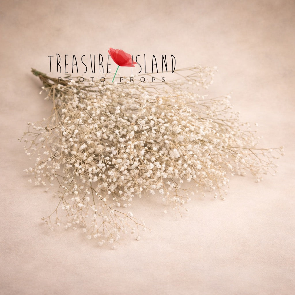 dried baby breath bouquet fine art photography prop ivory floral styling newborn maternity soft airy flowers