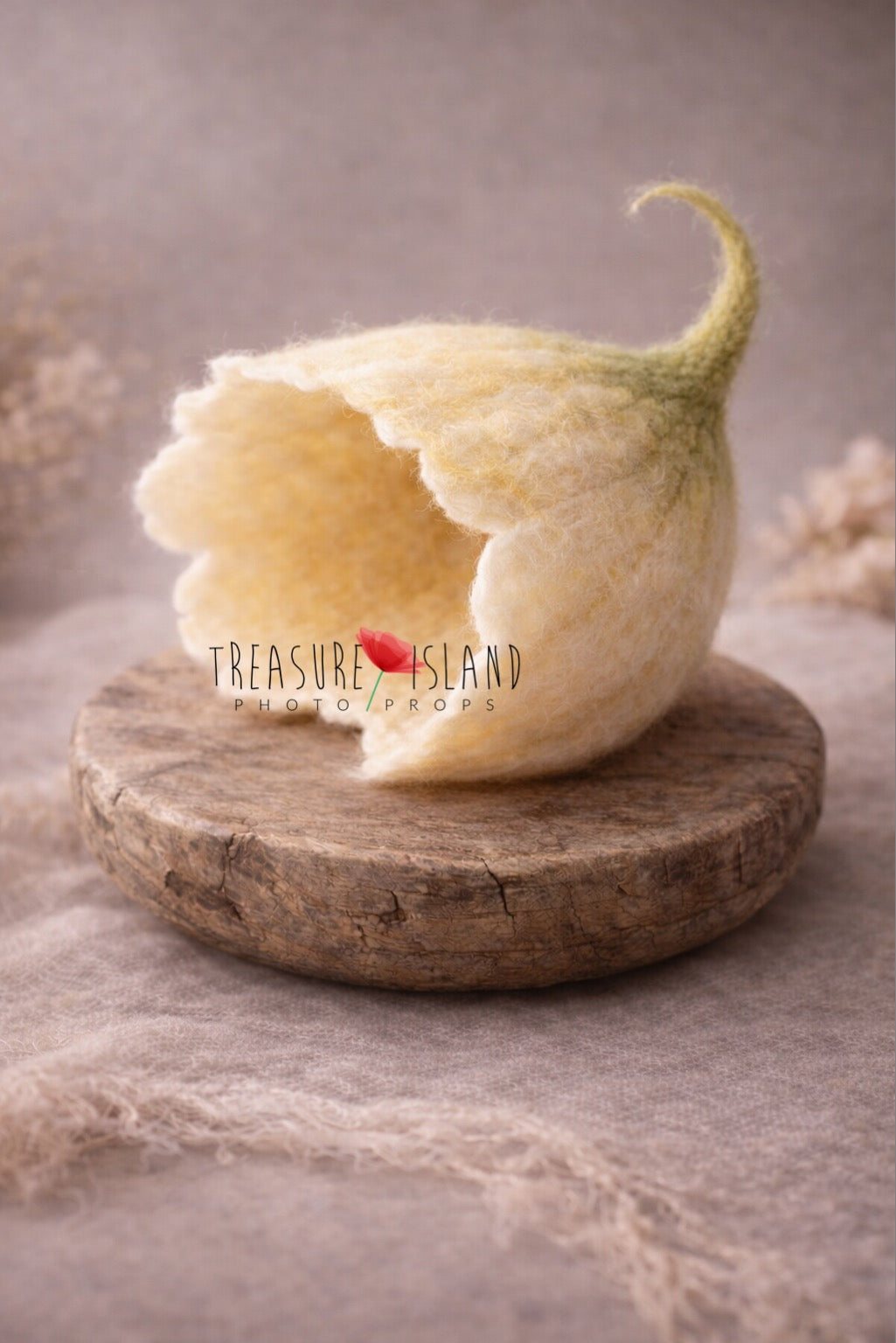 Felted Posing Flower for Newborn Photography