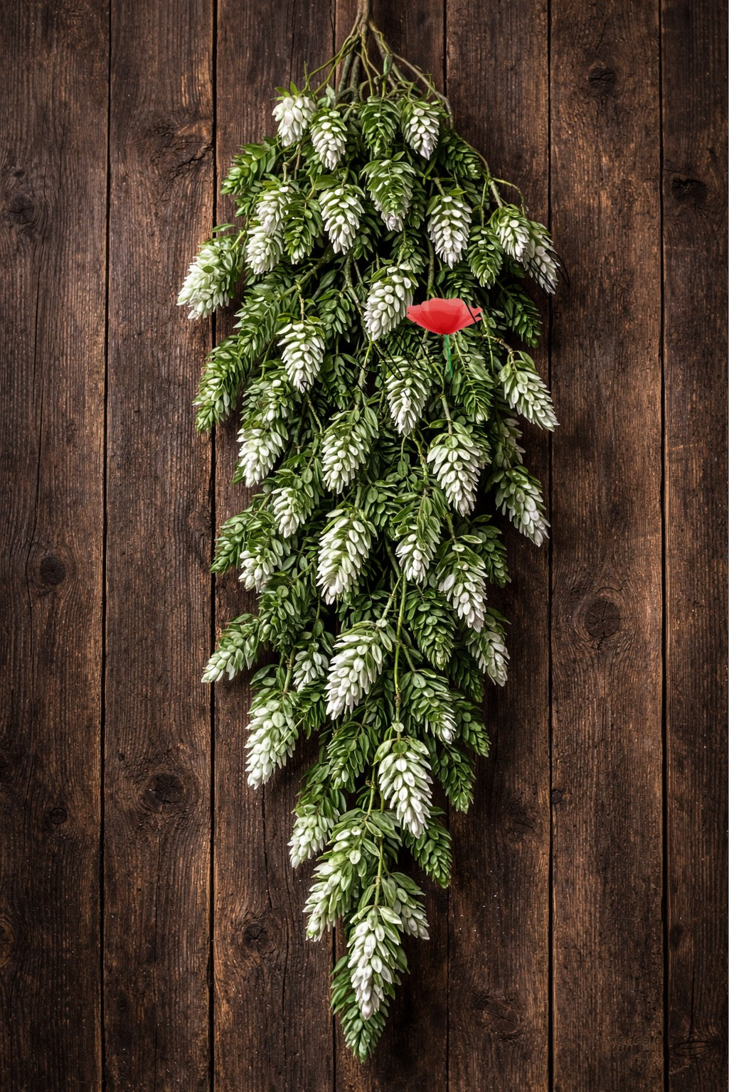 Green & White Botanical Hanging Garland 150 cm – Luxury Natural Photography Prop