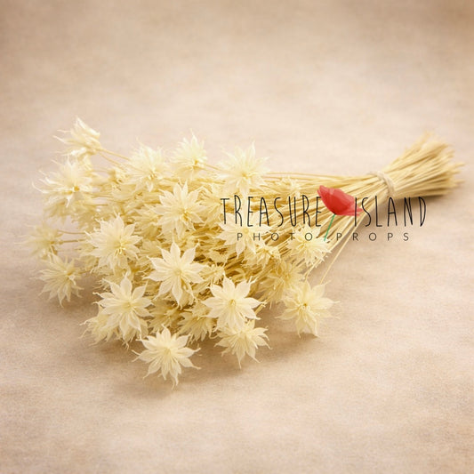 ivory dried flower bouquet fine art photography prop star shaped dried flowers neutral botanical styling