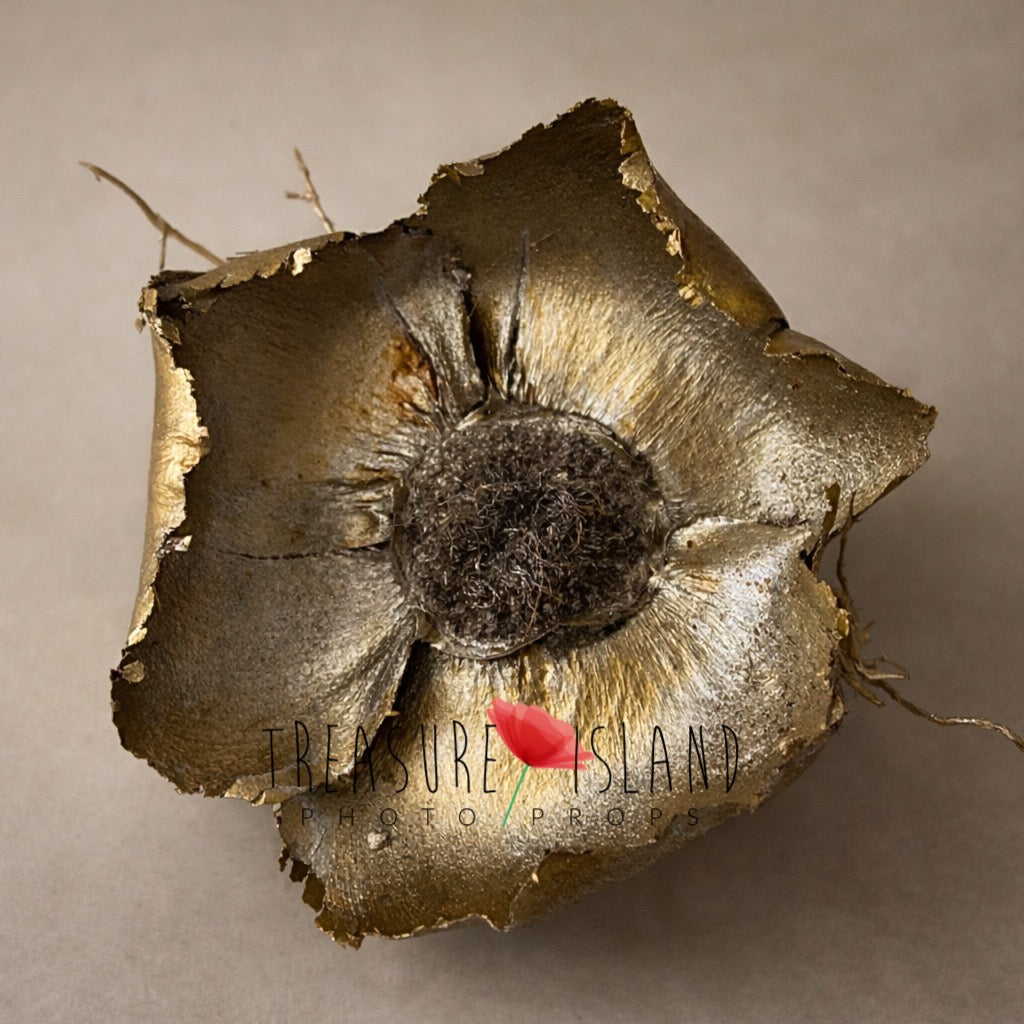 Hand painted exotic gold flower prop close-up, fine art photography prop, luxury newborn photography accessory, organic handmade texture
