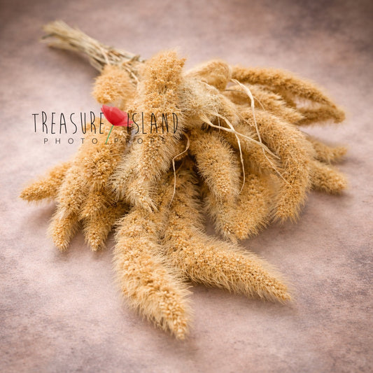 dried grass bouquet fine art photography prop natural beige dried botanicals newborn maternity styling soft texture prop