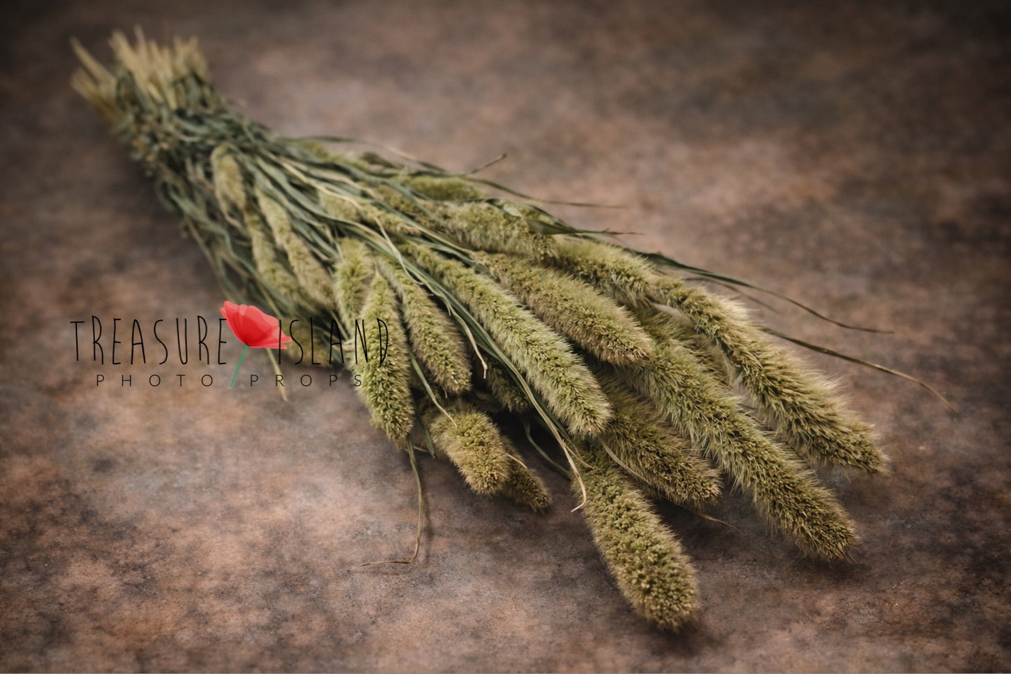 green dried grass bouquet fine art photography prop muted green botanical styling newborn maternity natural texture prop