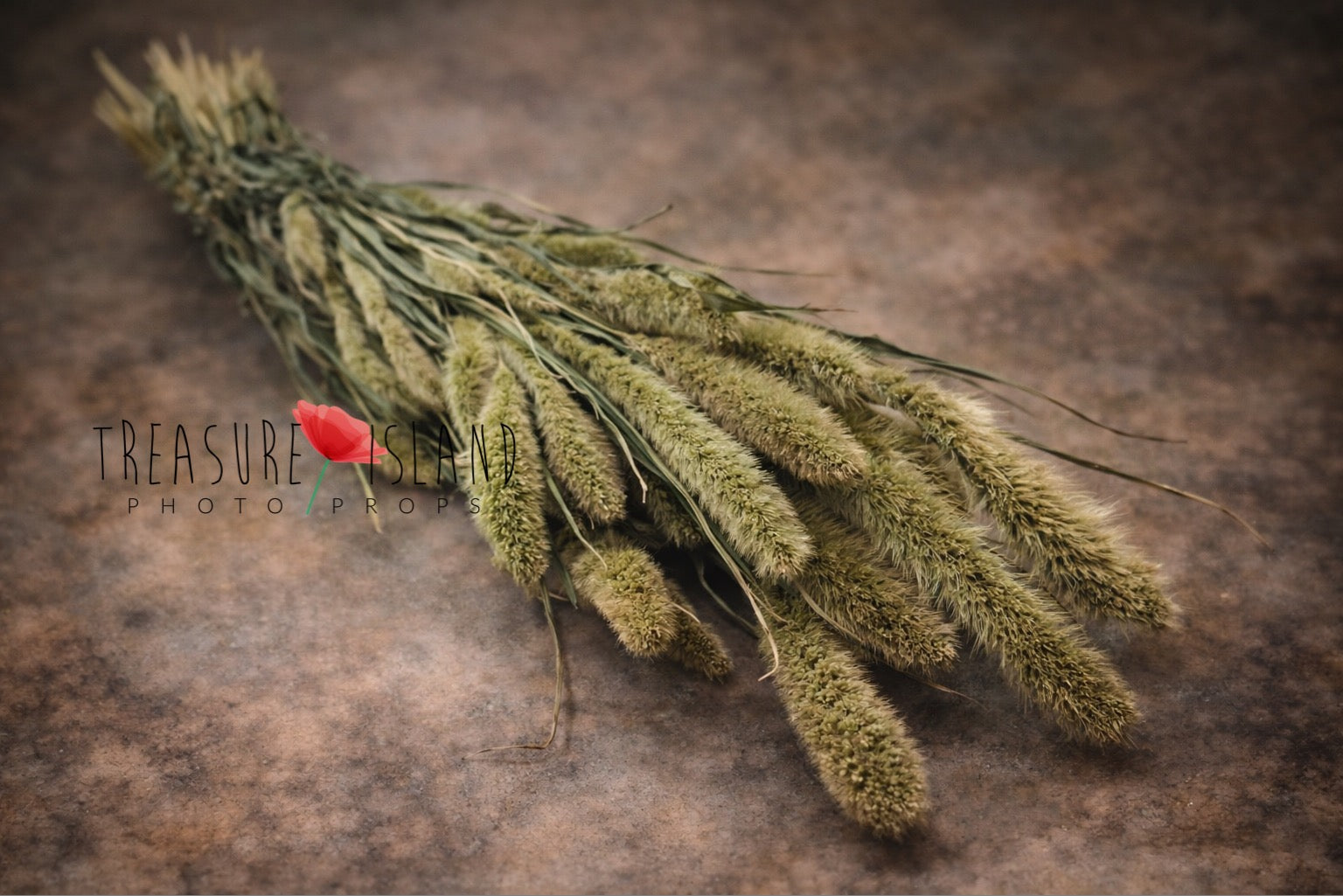 green dried grass bouquet fine art photography prop muted green botanical styling newborn maternity natural texture prop
