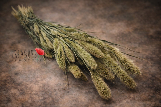 green dried grass bouquet fine art photography prop muted green botanical styling newborn maternity natural texture prop