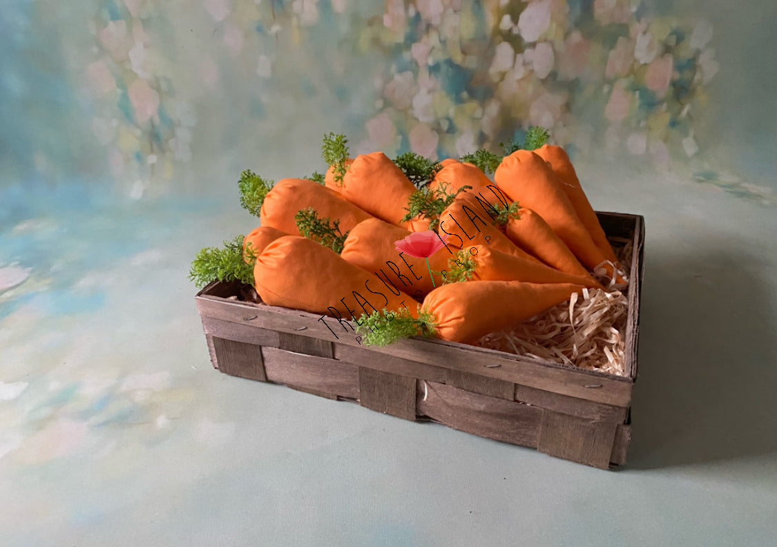 ✨EASTER CARROT✨3 sizes✨photo props