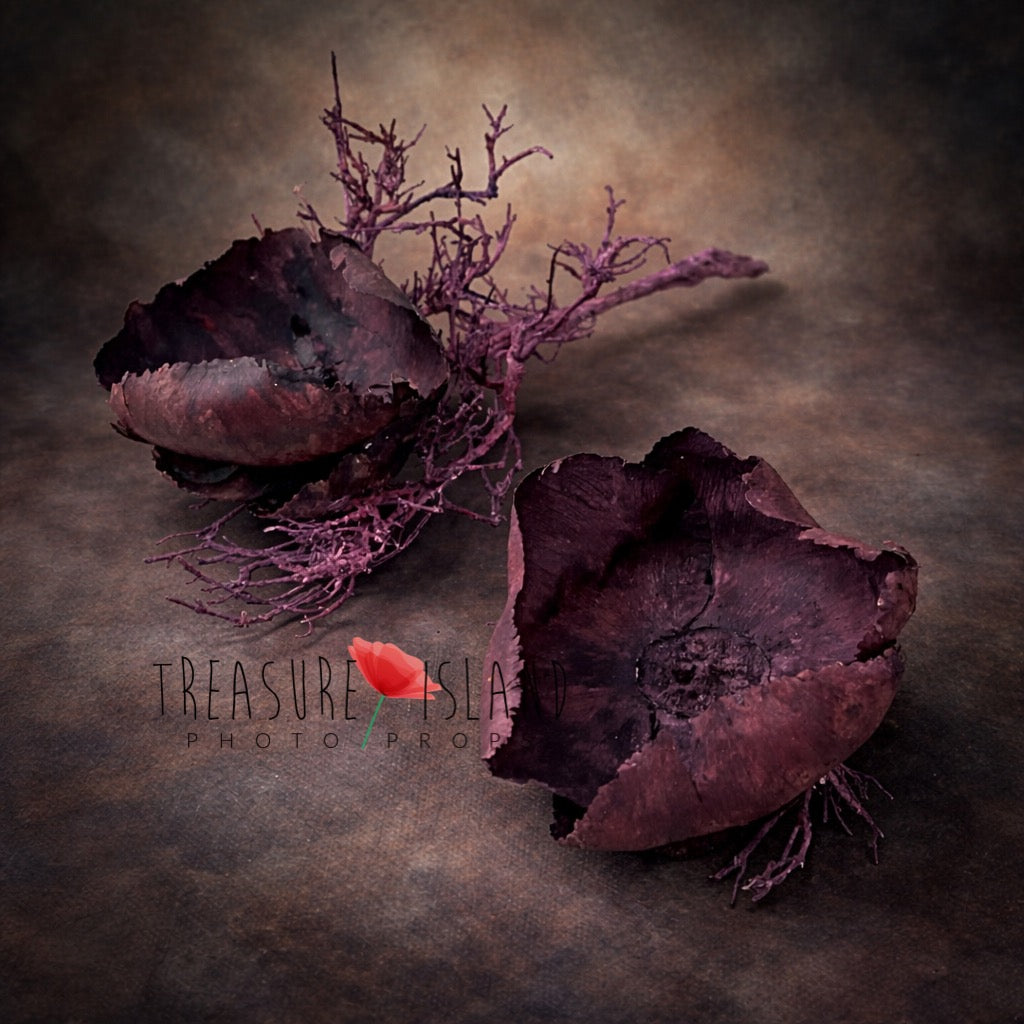 Dried poppy pods photography prop on moody fine art background, deep burgundy tones, textured botanical styling
