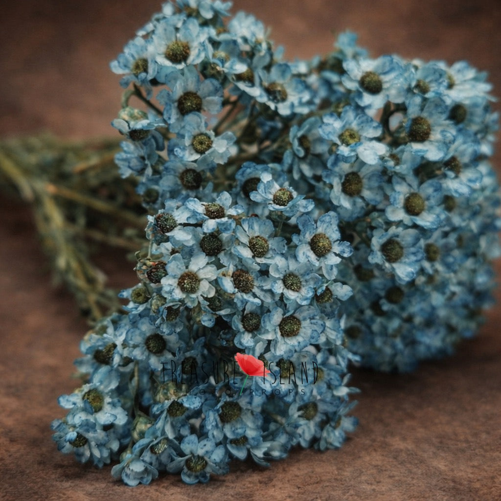 blue dried flower bouquet fine art photography prop dusty blue floral styling newborn maternity moody botanical prop
