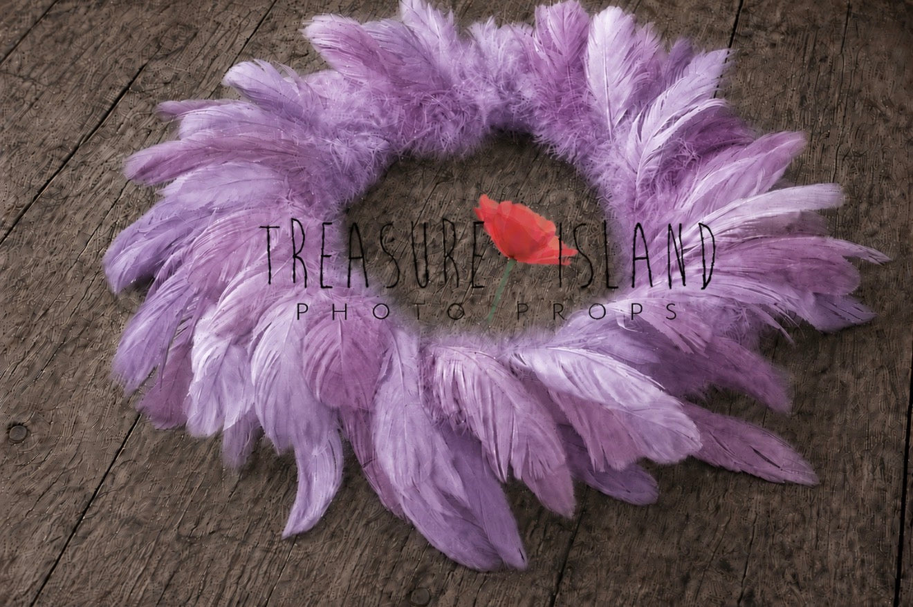 Lavender Feather Nest with rich layered feather texture for newborn and sitter photography