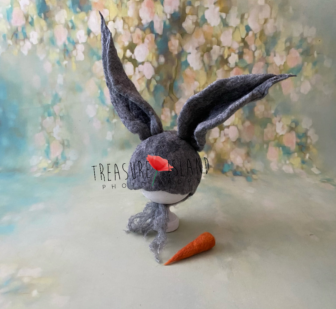 BUNNY SET 🥕 RABBIT SET 🥕Easter Props