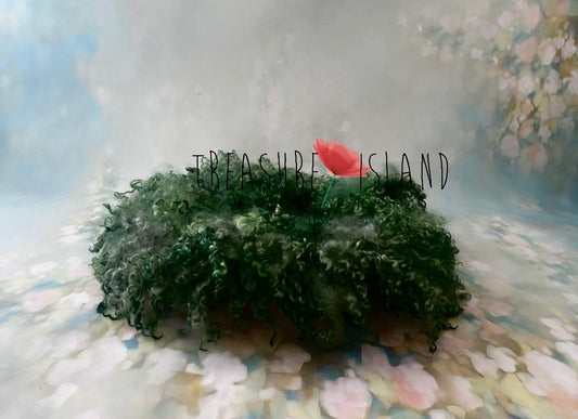 CURLY pine colour - Photo Props