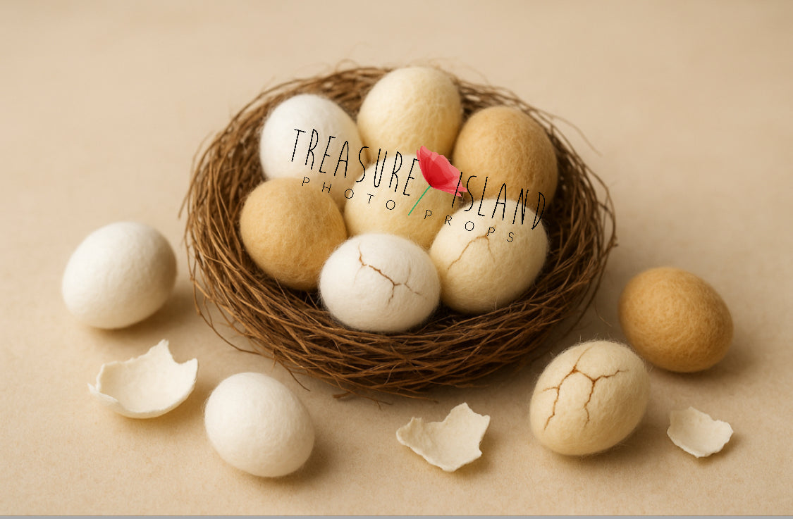 Natural Felted Easter Eggs with Cracked Shells – Handmade Newborn Photography Props