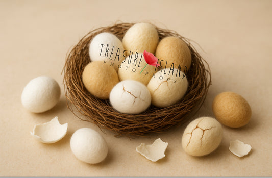 Felted Easter Egg Set – Handmade Props