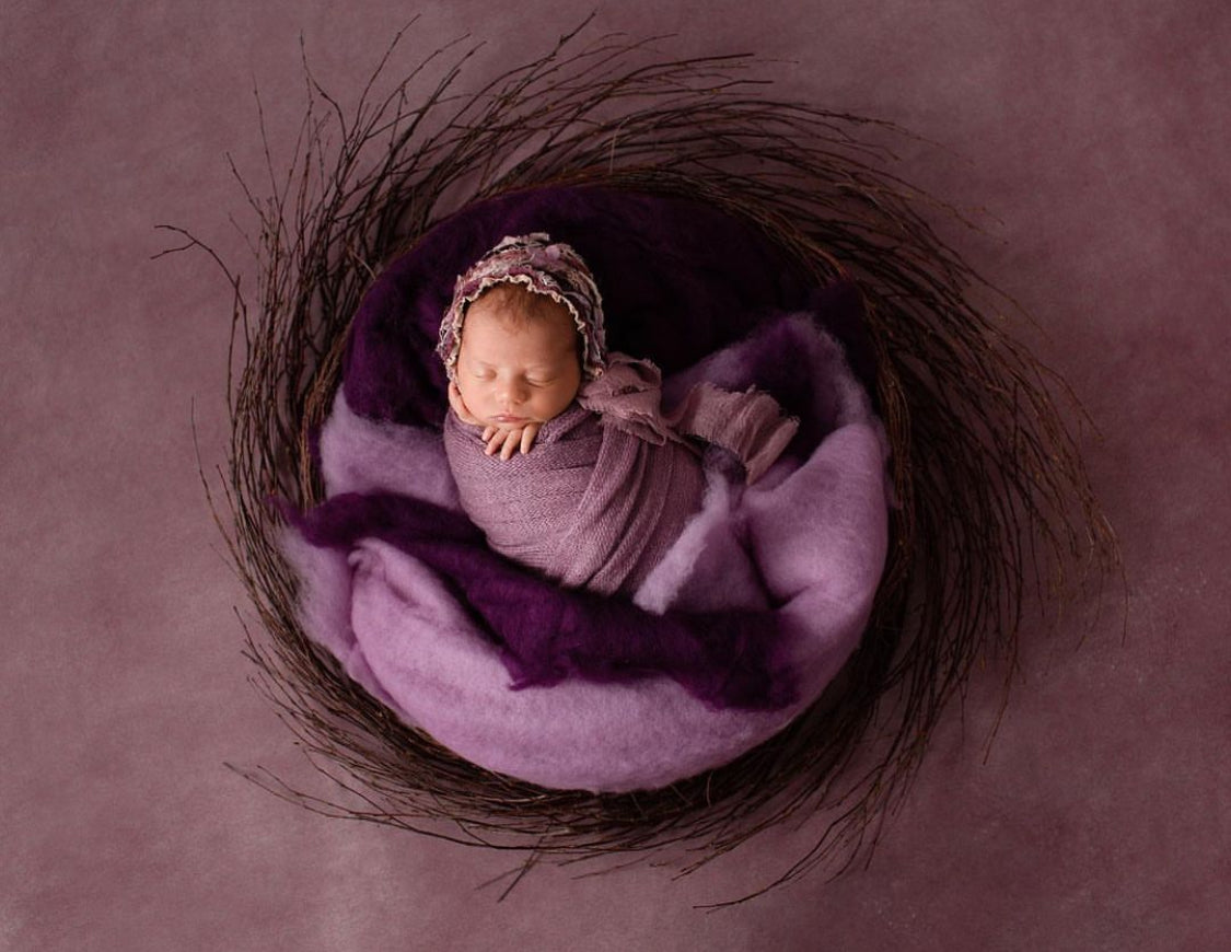 Natural twig photography nest styled with a newborn for an organic woodland-inspired setup