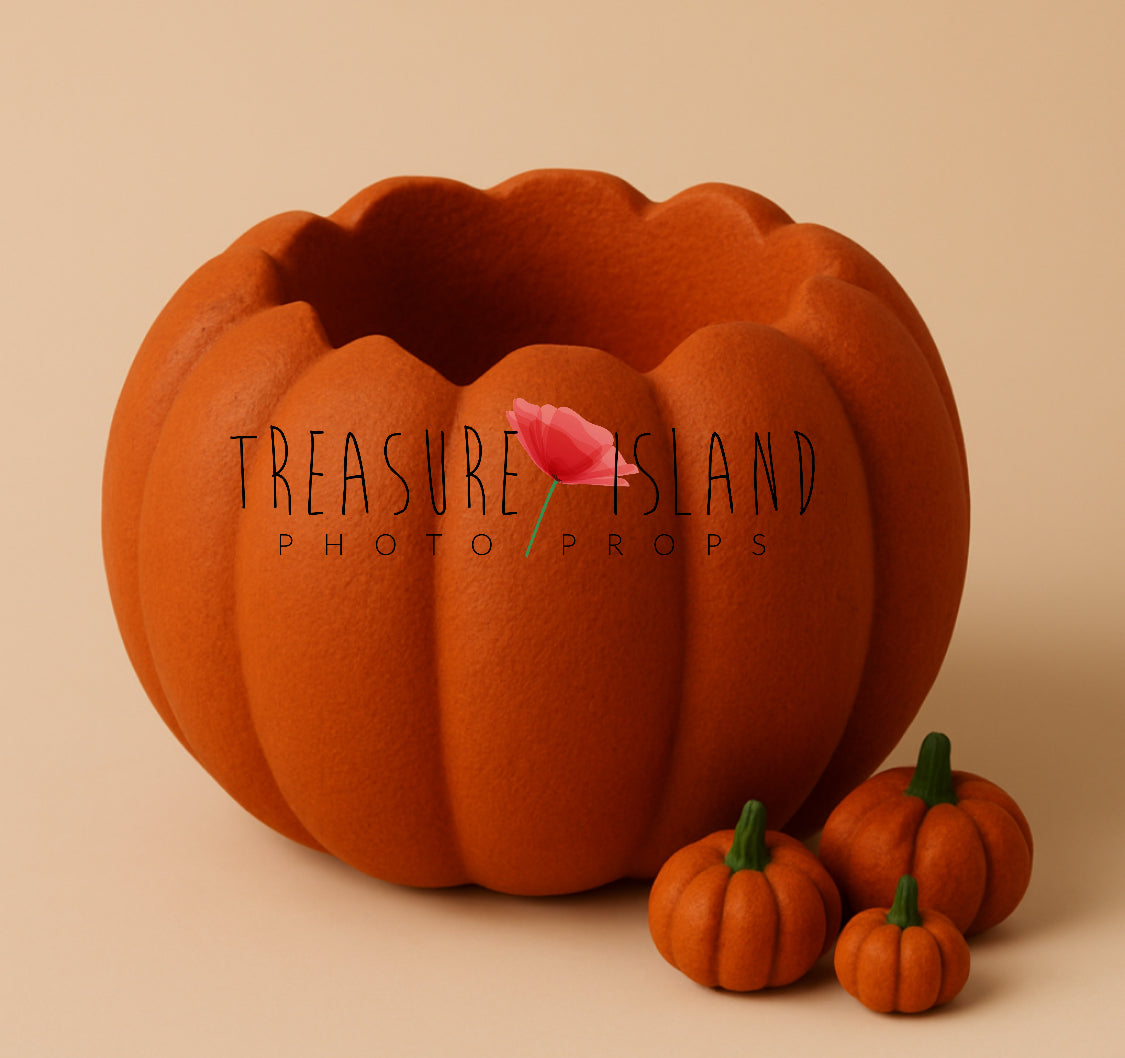 Rustic pumpkin posing bowl in newborn size with enclosed top for autumn baby photography