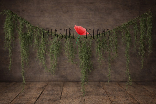 Spanish moss overhang garland for Cake Smash and photography backdrop styling