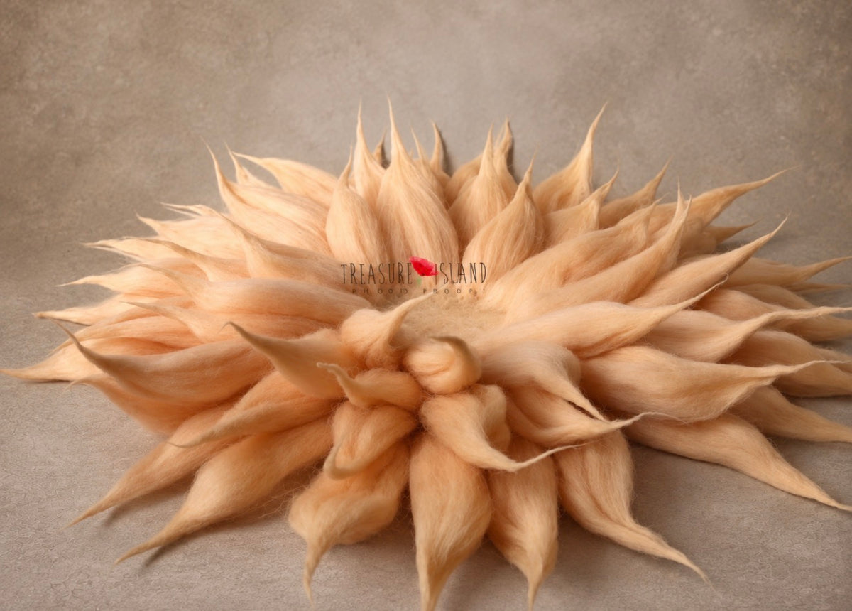 Apricot whisper hand-felted wool petal blanket for newborn and sitter photography