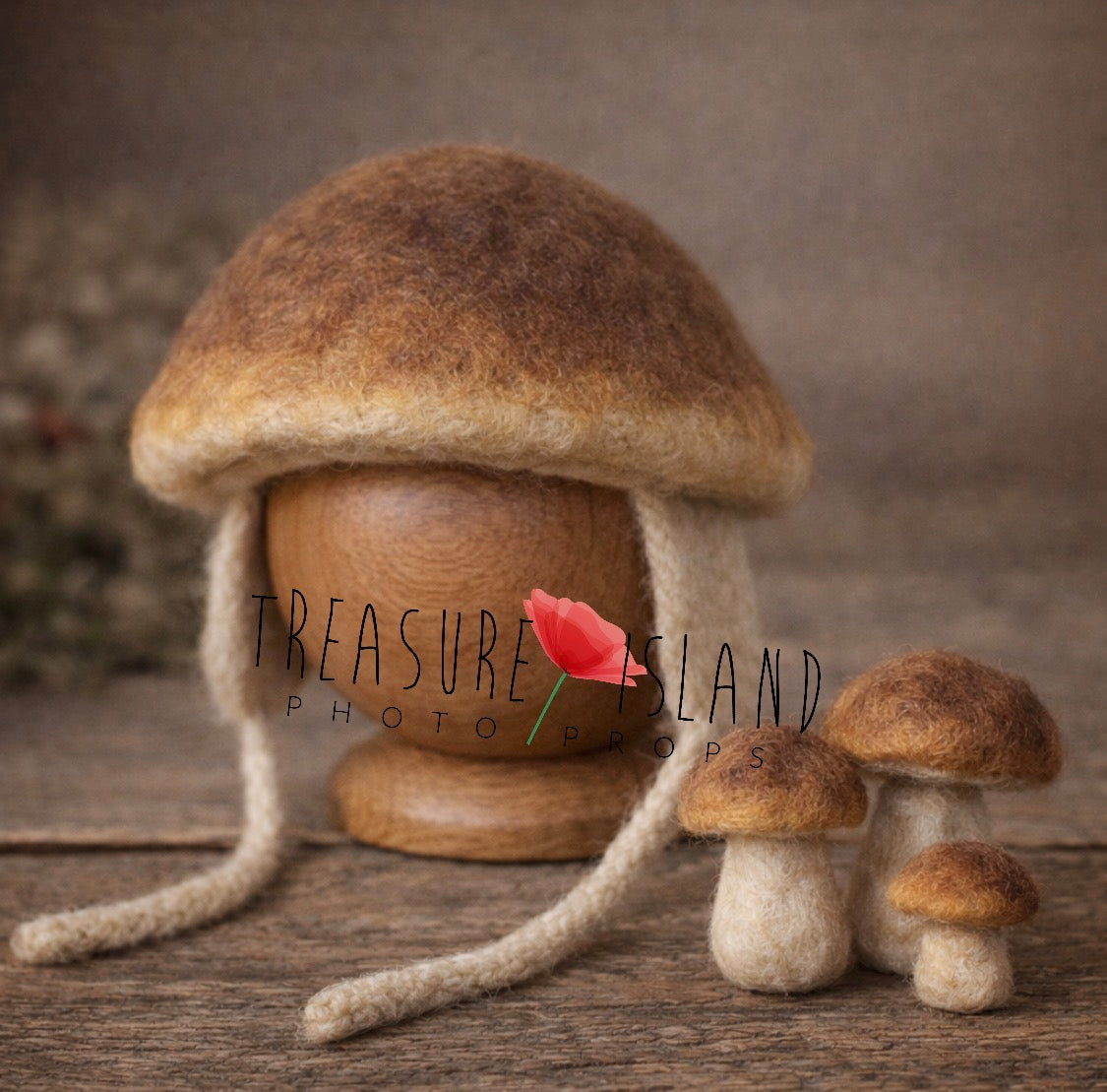 Hand-felted bolete mushroom bonnet and mini mushrooms for newborn and sitter photography