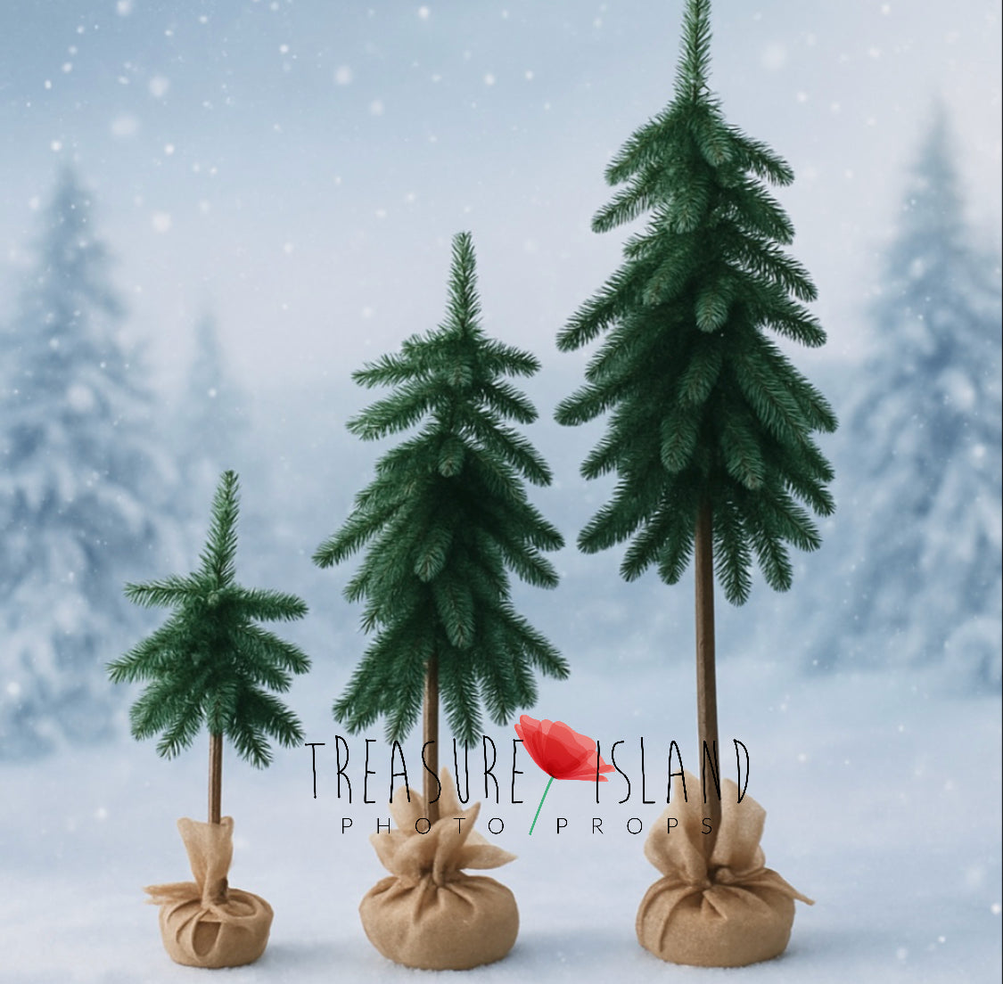 Three classic green Christmas trees in different sizes for winter photography setups